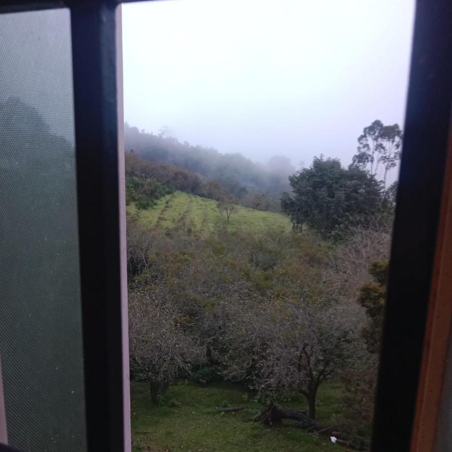 Olive Rooms Kodaikanal With Wifi, Spacious Rooms, Parking Esterno foto